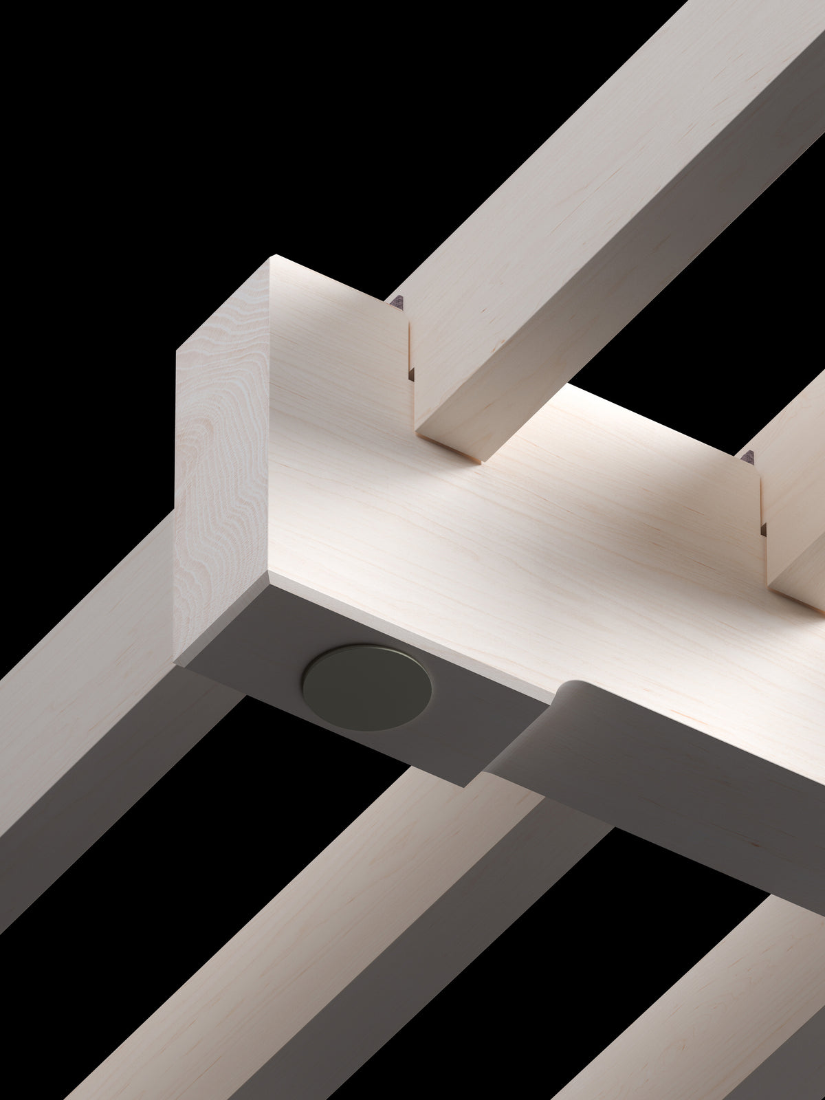Maple, 11cm height